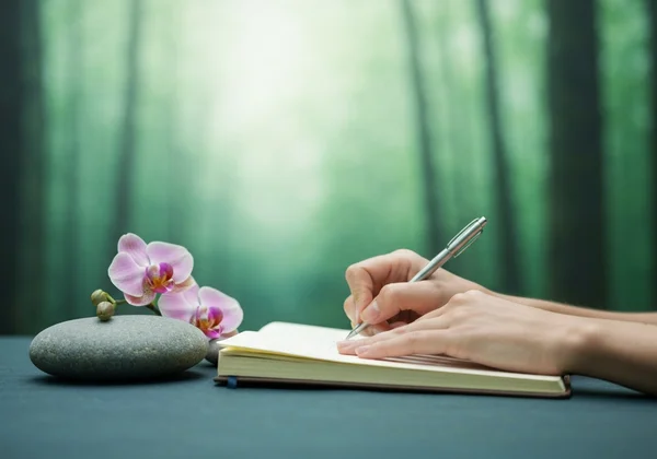 正念与日记工具，用于自我关怀